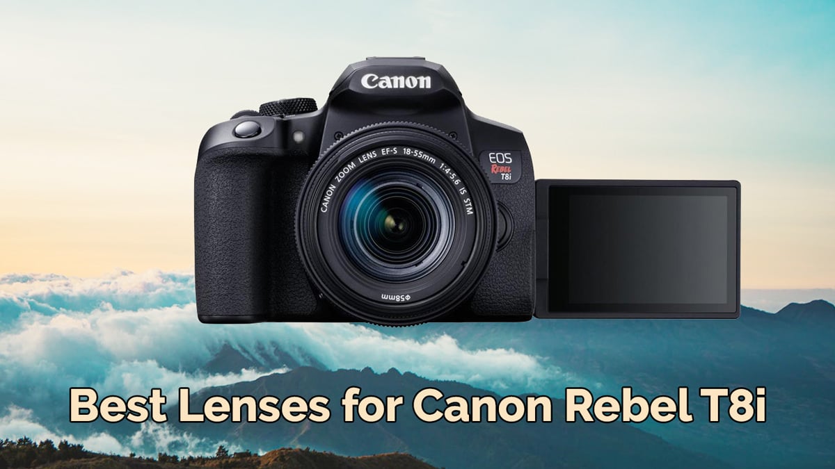 CANON EOS REBEL T8I TOP LENSES FOR 2024